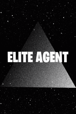 Elite Agent + Random Rare Skins - FN