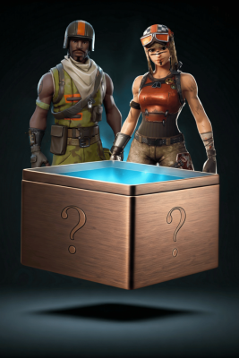 RENEGADE MYSTERY BOX - FN