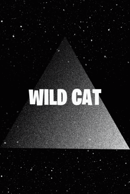 Wild Cat + Random Rare Skins - FN