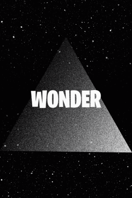 Wonder + Random Rare Skins - FN